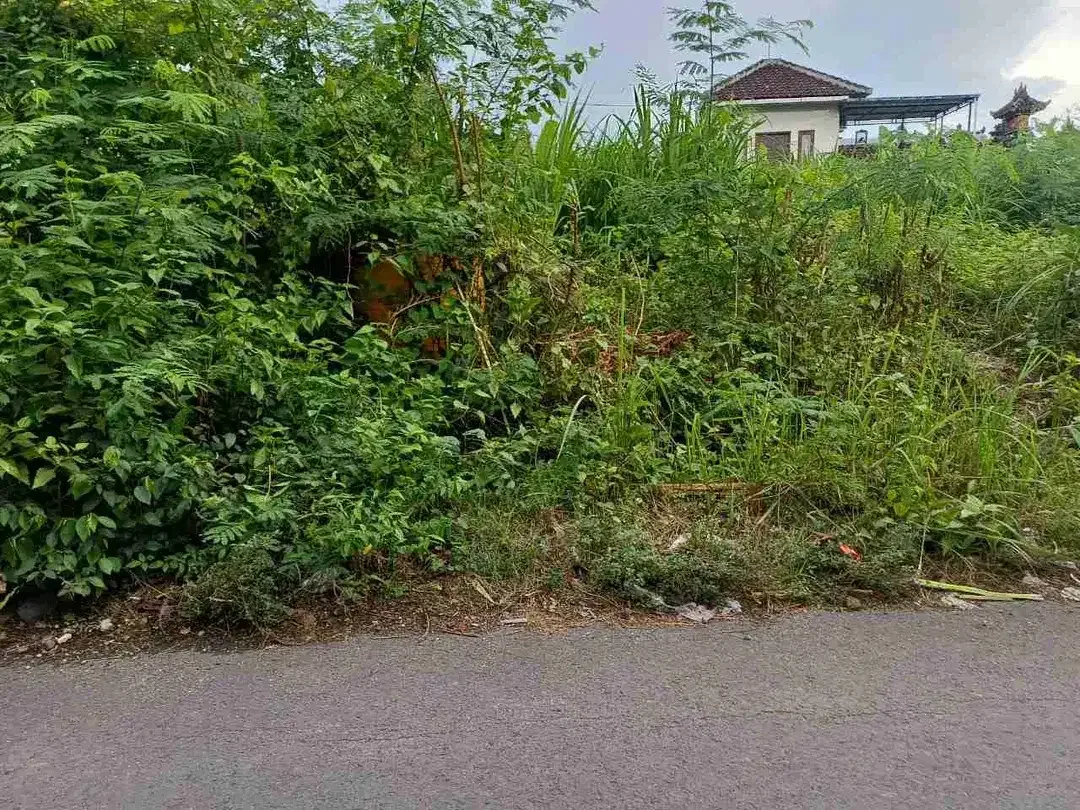 dijual tanah 4,65 are di perumahan Taman jimbaran Kuta Selatan Badung Bali - Image 3 of 7