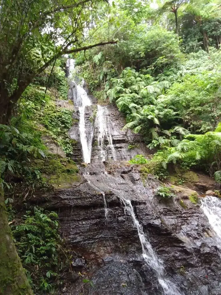 DIJUAL TANAH AIR TERJUN DAN MATA AIR BULELENG - Image 1 of 5