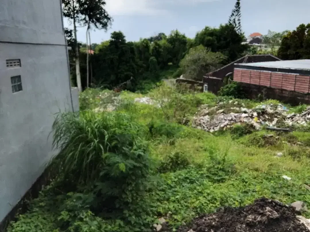 DIJUAL CEPAT – TANAH STRATEGIS PADANG TAWANG, CANGGU – BALI - Image 3 of 10
