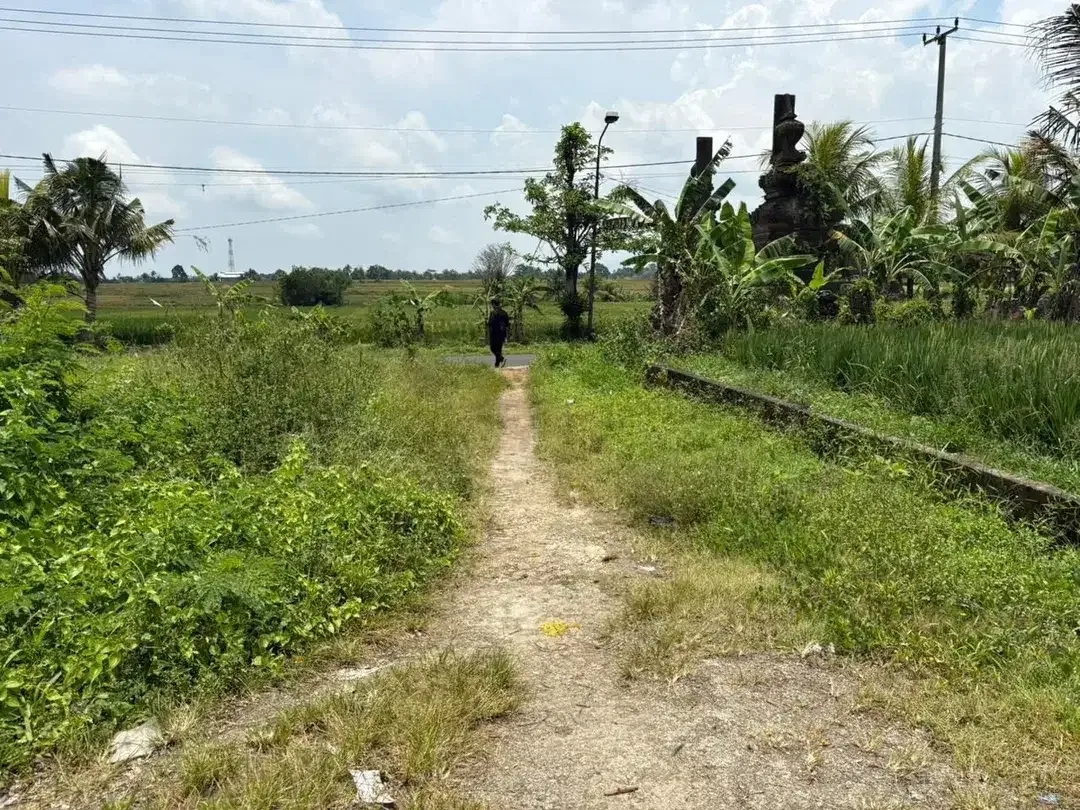 Tanah Kavling 1 Are Murah di Baha Gulingan Mengwi - Image 2 of 4