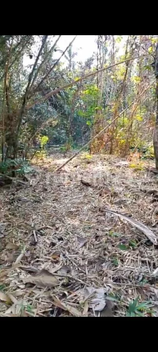 Dijual Tanah Lokasi di Munduk Bajera Utara View Sungai - Image 3 of 4