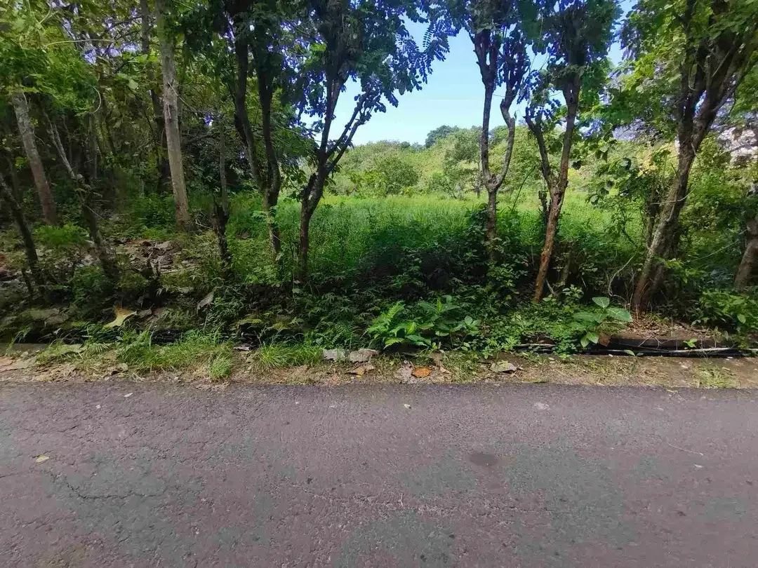 dijual tanah 2035m² IDR 450 juta per are dekat poltekpar Bali STP nusa dua Kuta Selatan Badung Bali - Image 9 of 10