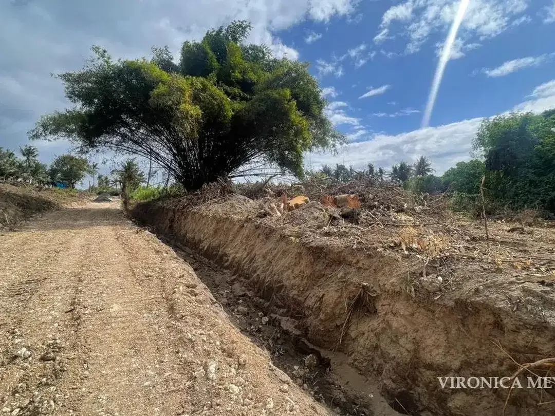 TANAH GLOBAL DIJUAL CEPAT – SABA, GIANYAR. - Image 1 of 3