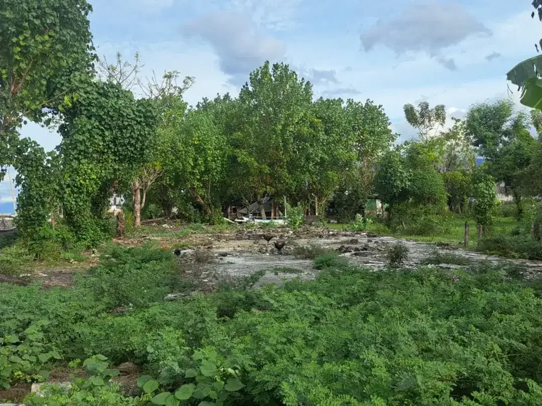 DIJUAL TANAH STRATEGIS TEPI JALAN PROVINSI – BULELENG, BALI - Image 5 of 5