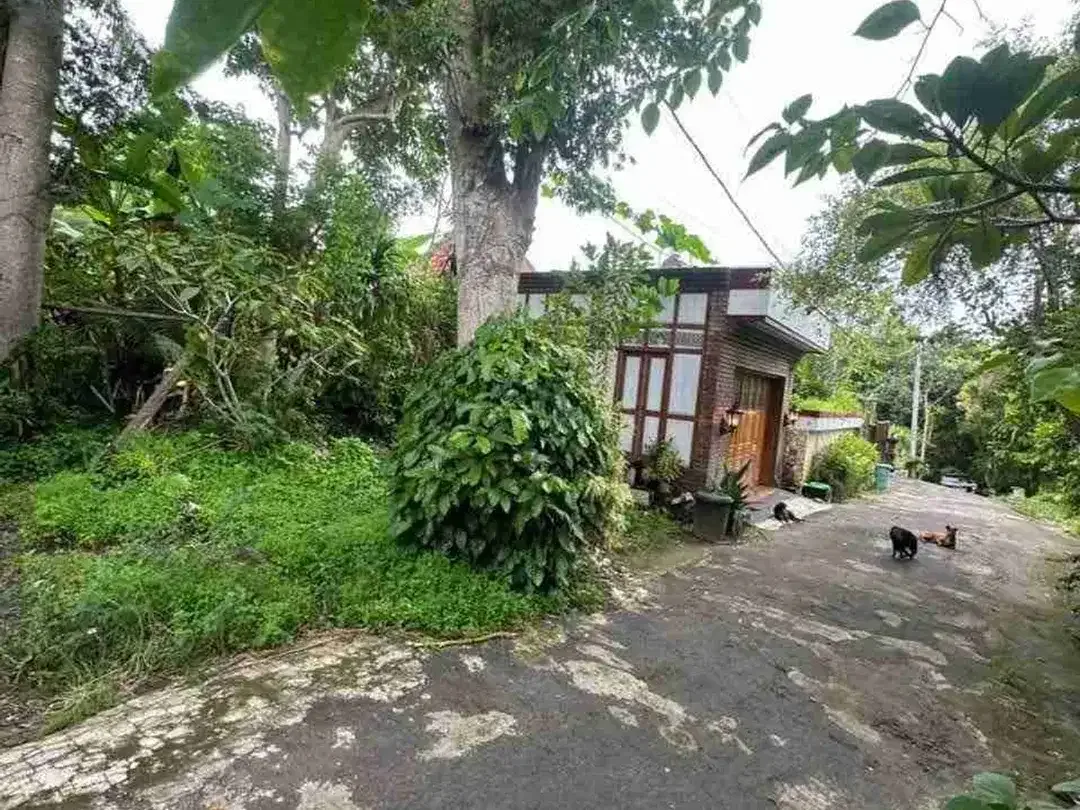 Kavling Premium Uluwatu Dekat Savaya, Area Favorit Villa dan Hunian - Image 4 of 6