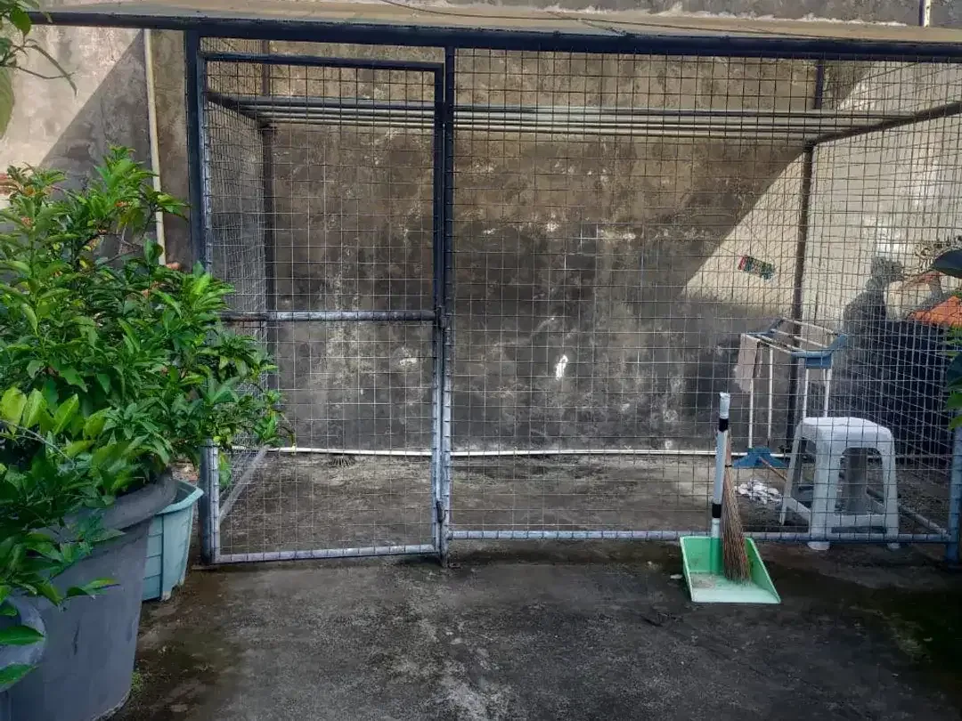 DIJUAL RUMAH 2 LANTAI – TUKAD MUSI, PANJER, DENPASAR SELATAN - Image 10 of 10