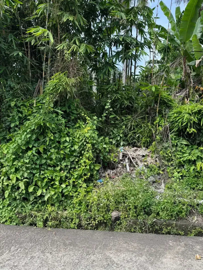 35mnit to Canggu BUC 300m2 - Image 5 of 5