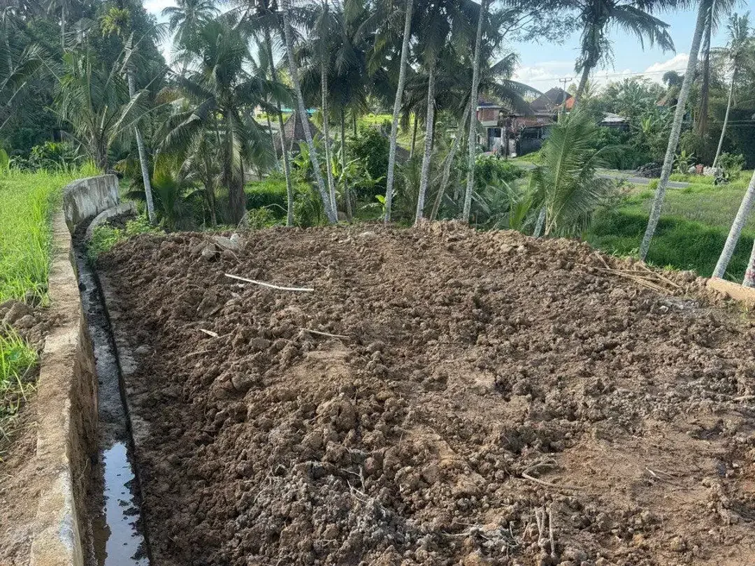 Prime Investment Land - 27 Are Leasehold Plot in Pejeng, Ubud - Secure Your Piece of Bali's Land - Image 3 of 10