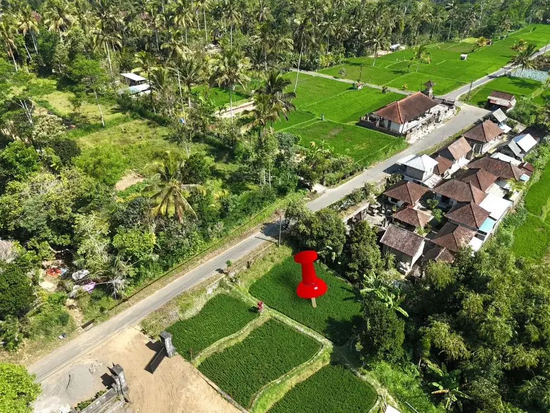 Tanah Tegalallang Ubud Pemandangan Sawah dan Sungai Kecil - Image 7 of 10