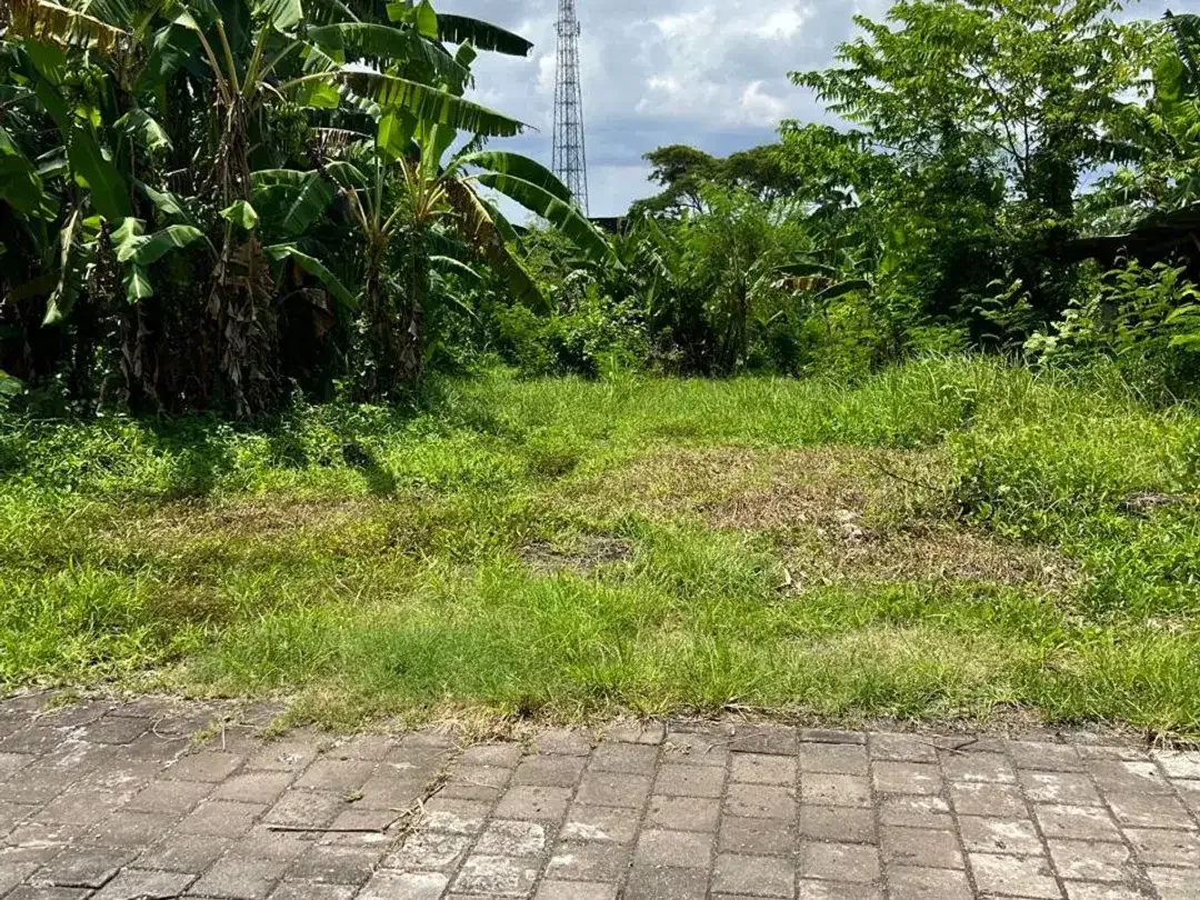 Tanah Dekat Pantai Nyanyi - Image 6 of 8