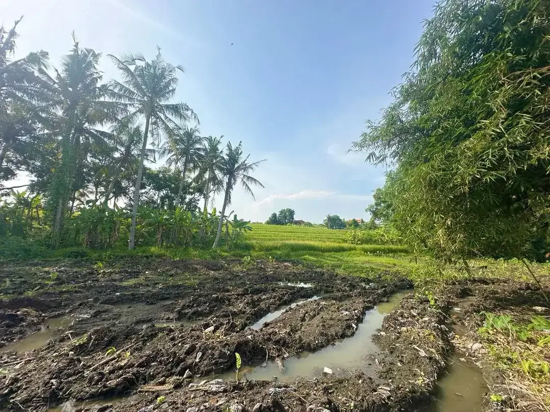 Freehold - Startegic and in By Pass Tanah Lot - Image 3 of 8