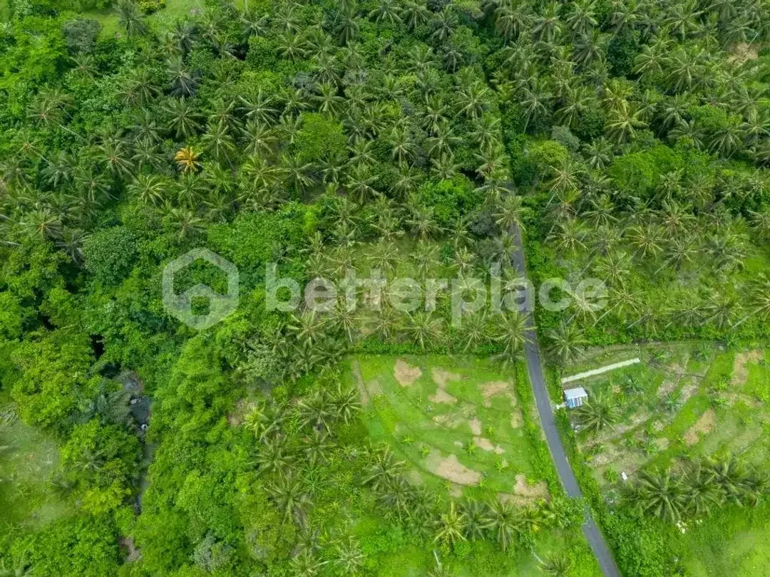 Prestigious 23.9 are Freehold Jungle Land in Balian – A Rare Investment Opportunity Blending Natural Serenity with Coastal Elegance - Image 10 of 10