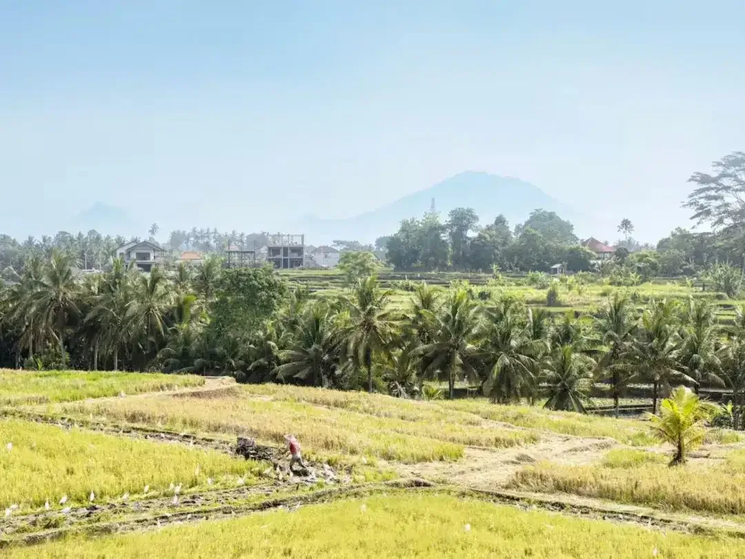 MODERN TROPICAL 2 BEDROOMS VILLA WITH RICEFILD VIEW AT UBUD - Image 3 of 10