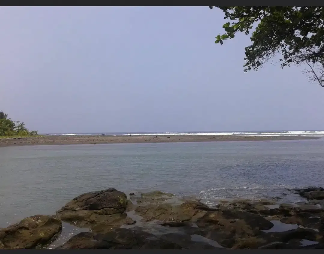 DIJUAL TANAH LOS PANTAI BERABAN DAN SUNGAI DI TABANAN - Image 7 of 10