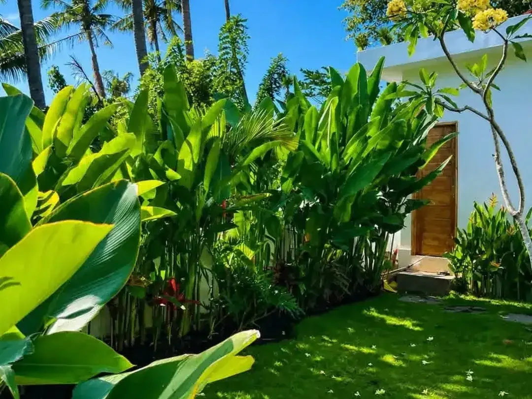 2 Bedroom Villa for sale in Abang, Bali - Image 7 of 10