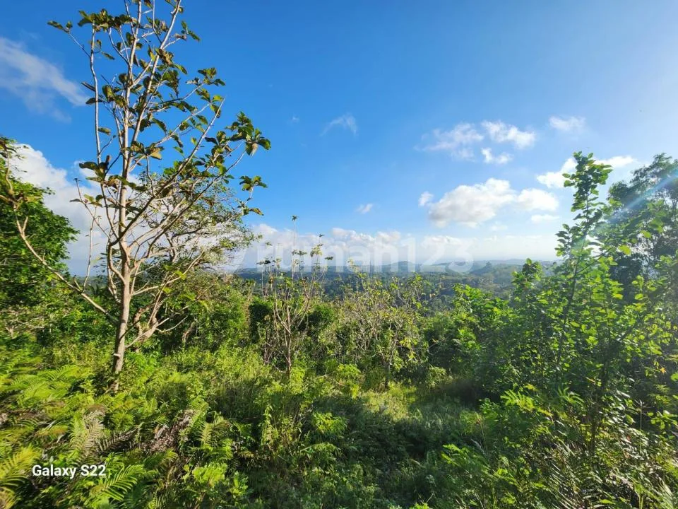 Tanah di Desa Klumpu Nusa Penida - LT 13.700 M², View Laut & Gunung Agung, Cocok untuk Villa, Resort & Glamping - Image 1 of 4