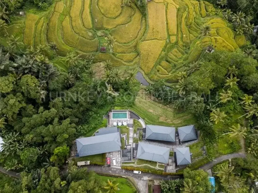 Luxury Boutique Resort & Spa in Ubud - Image 3 of 10
