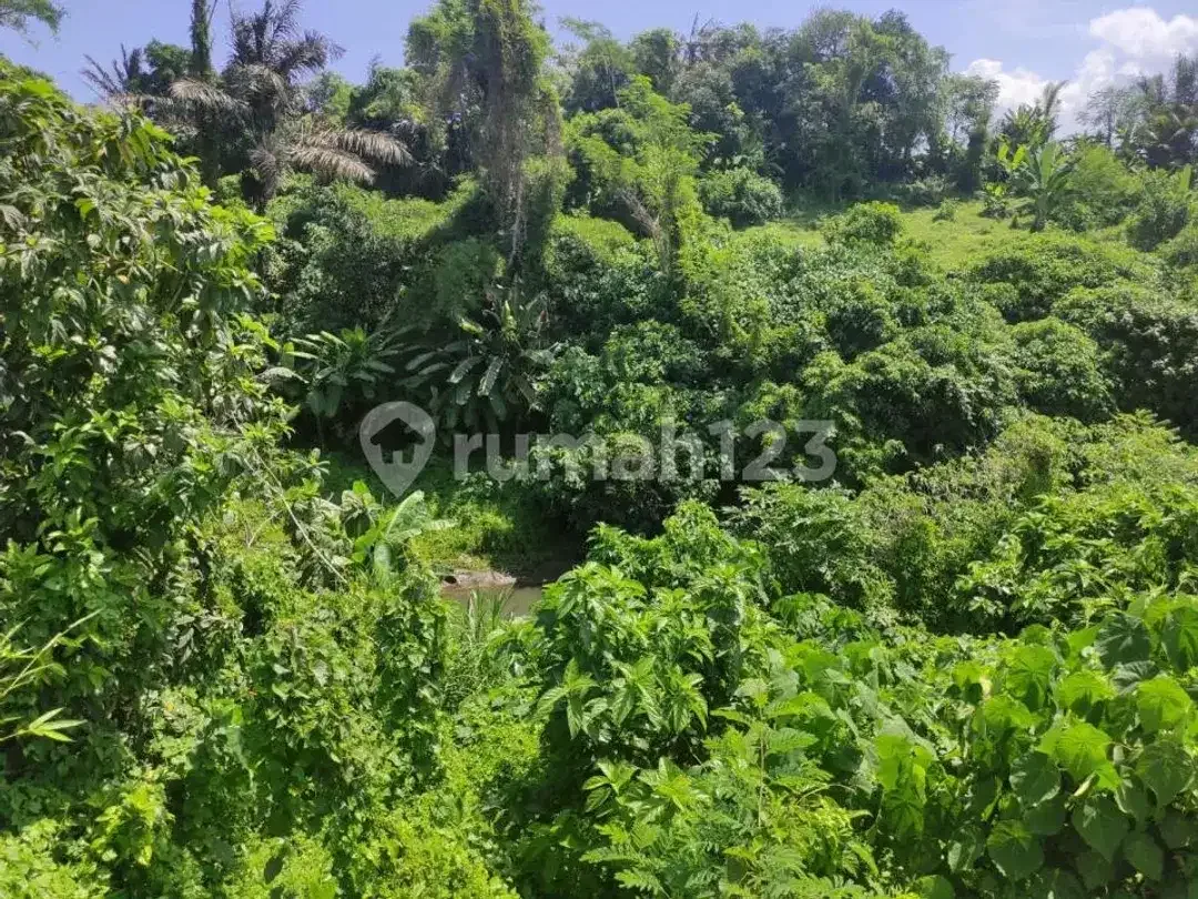 Dijual Cepat Tanah Pinggir Jalan Utama Investasi Komersial di Gianyar - Image 3 of 10