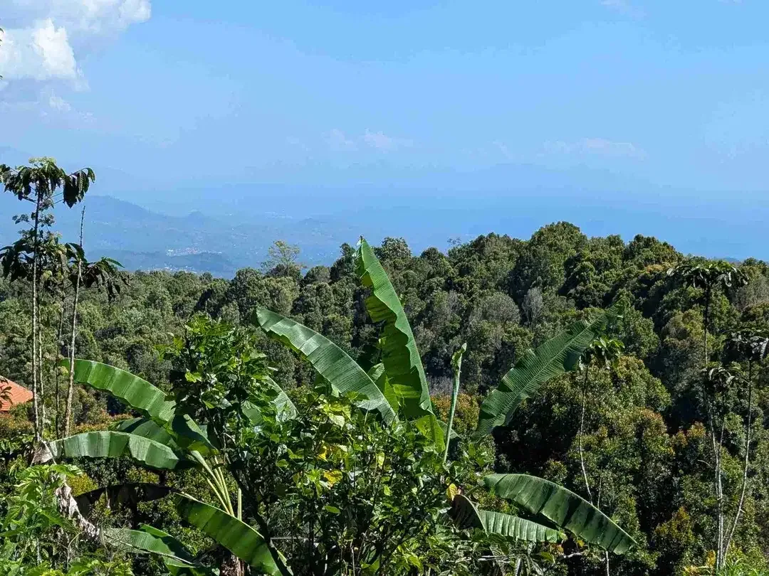 DI JUAL TANAH GLOBAL DI KAWASAN BERKEMBANG DESA GESING VIEW LAUT DAN PEGUNUNGAN, DEKAT WISATA DANAU TAMBLINGAN - Image 2 of 5