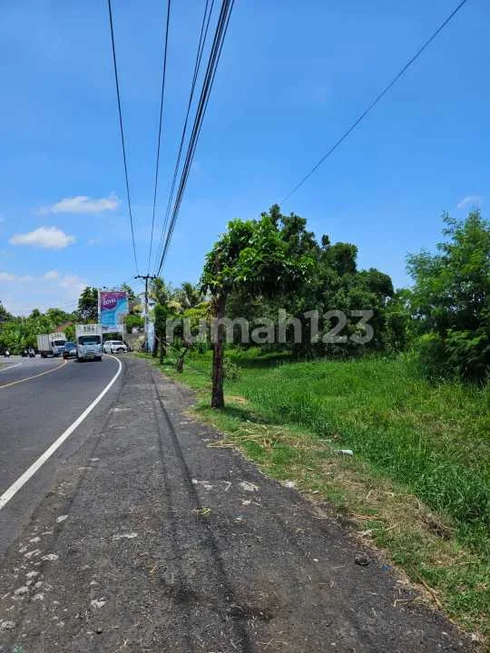 Tanah SHM Luas 23.430 m² di Kerambitan, Tabanan - Rp 120 jt/are - Image 4 of 4