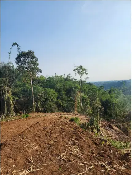 Tanah kavling murah kebun durian penebel Tabanan - Image 8 of 8