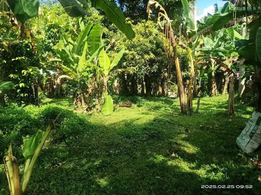 Residential land of 22 are for sale in Mambang, Tabanan - Image 2 of 3