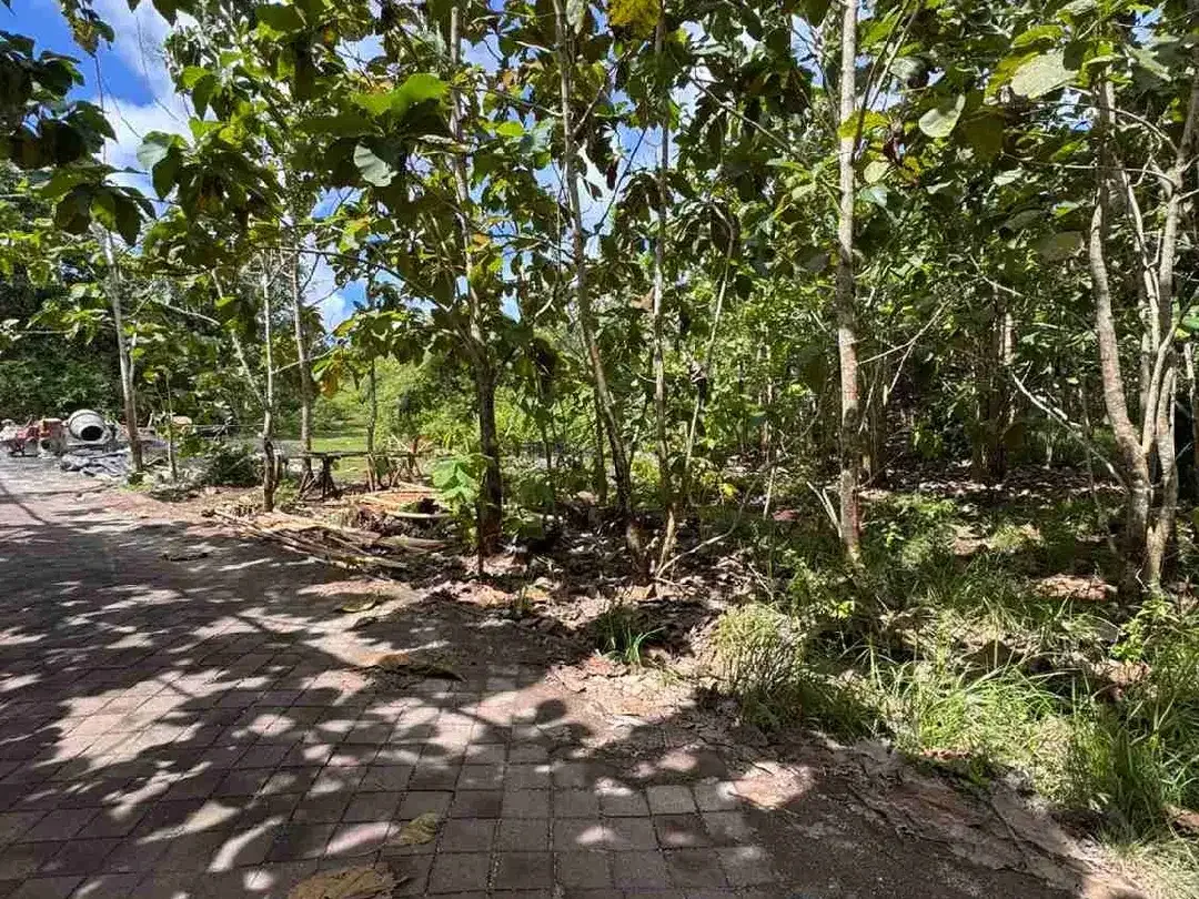 DI JUAL TANAH MURAH LOKASI PERBATASAN UNGASAN / PECATU - Image 2 of 5