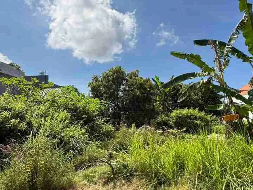 Dijual Murah  Tanah 200m2 Cocok Untuk Invest Di Kuta Selatan - Image 4 of 10