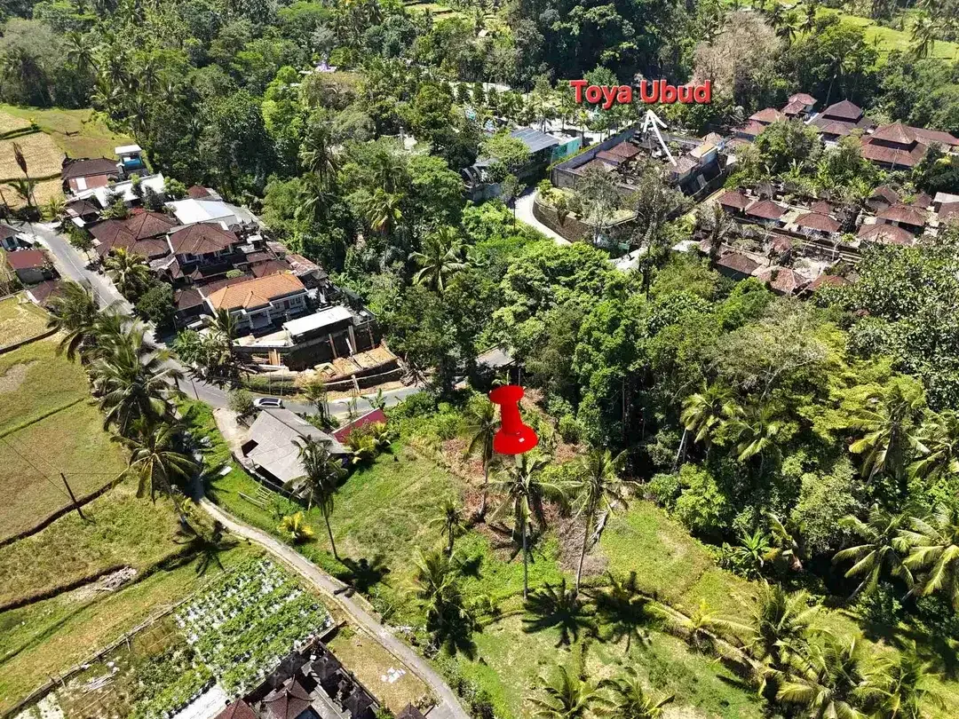 Jual Tanah Pinggir Jalan Tegalang Luas 840m/8.4are Zona Perdangan & Jasa cocok untuk bangunan Komersil - Image 5 of 7