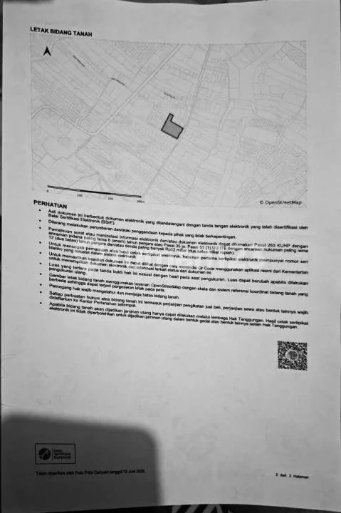 Tanah Luas Strategis Jual Cepat di Tabanan - Image 3 of 4