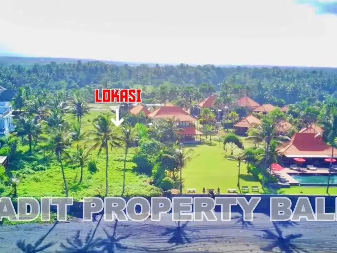 Tanah Beach Front Pantai Pasut Kerambitan Tabanan - Image 2 of 8