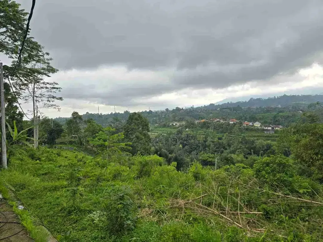 kebun dengan view gunung dan sawah penuh panorama - Image 3 of 9