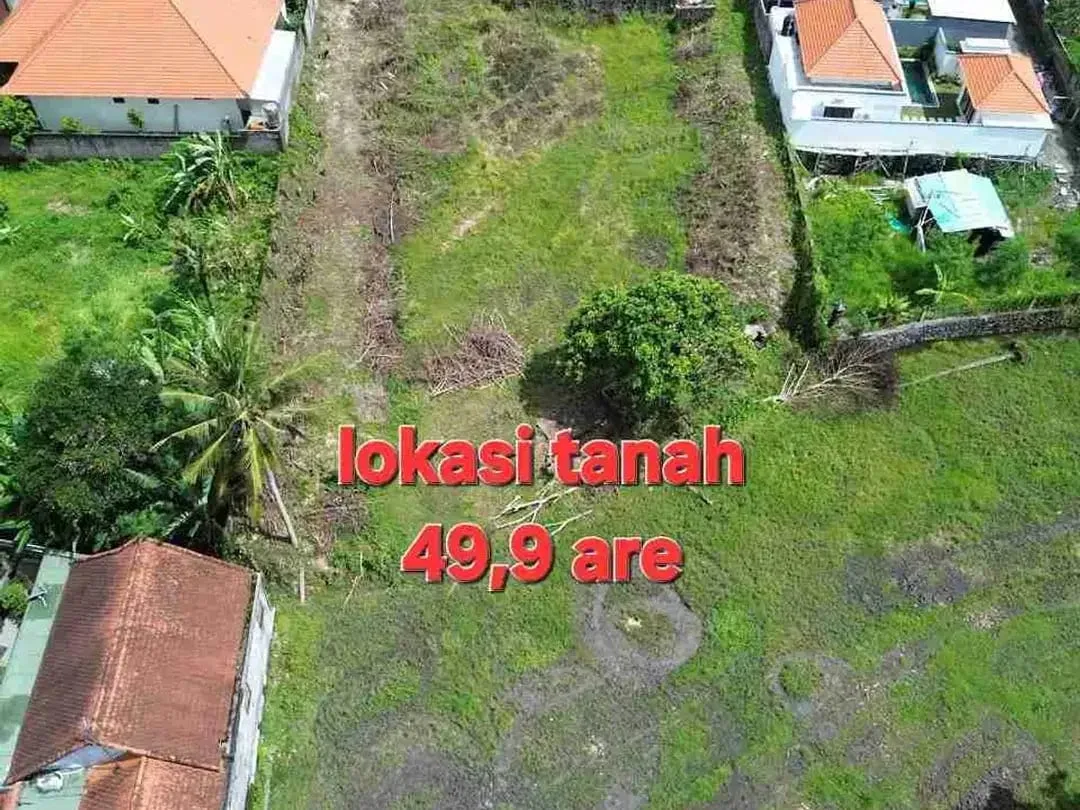 Jual Tanah 49,9are di jln RAYA MUNGGU Cepaka Slingsing, dkt Tumbak bayuh, pererenan Bali - Image 6 of 10