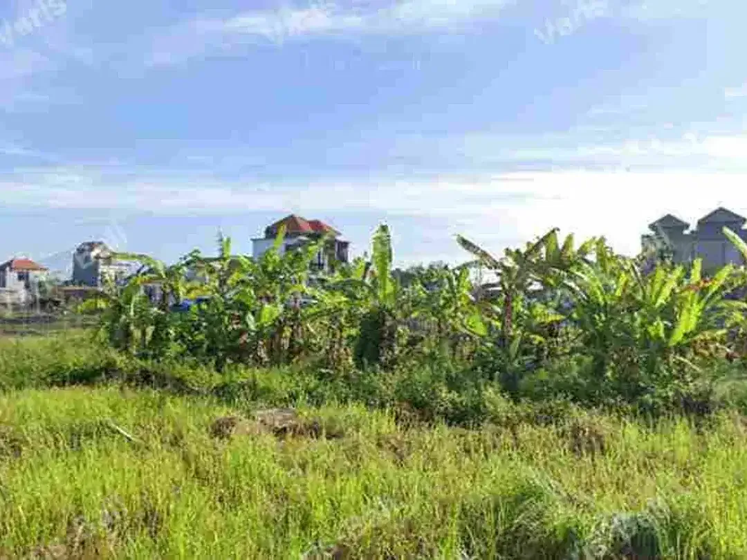DIJUAL TANAH KECIL BUDUK - Image 2 of 4