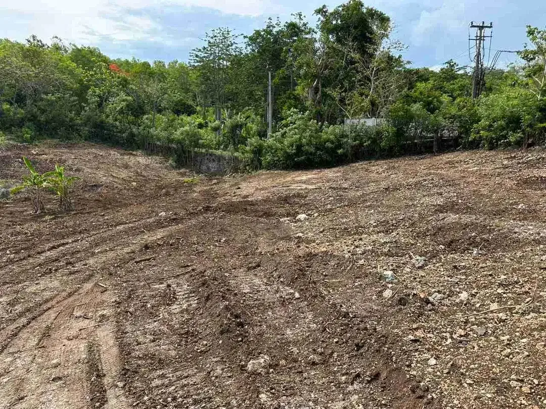 dijual tanah 20 are IDR 720 juta /are dekat savaya villa Pecatu - Image 1 of 8