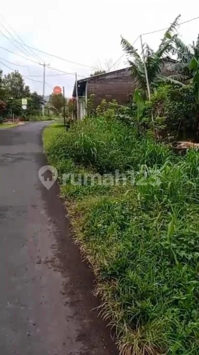 Tanah Strategis Dekat Air Terjun Bedugul, Buleleng - Image 3 of 4