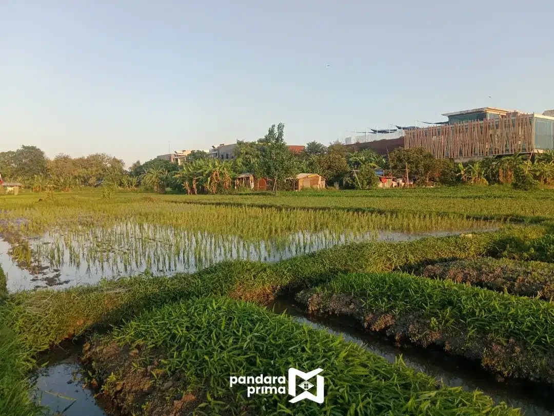 DIJUAL - TANAH KAVLING NAKULA DENPASAR BARAT - DI BELAKANG AIS IMAM BONJOL - Image 2 of 10
