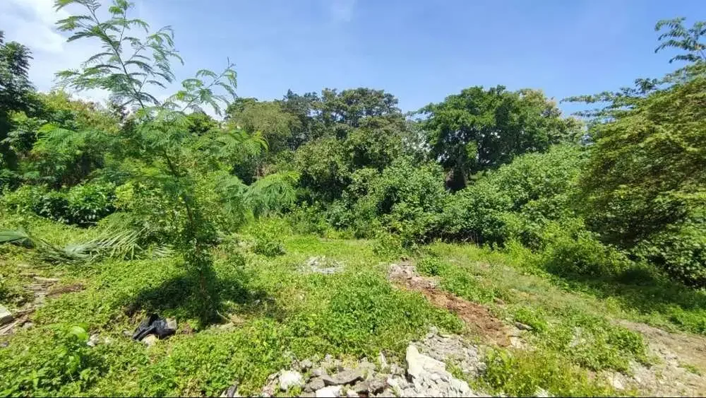 DIJUAL TANAH PINGGIR SUNGAI - LINGKUNGAN VILLA - Image 1 of 7