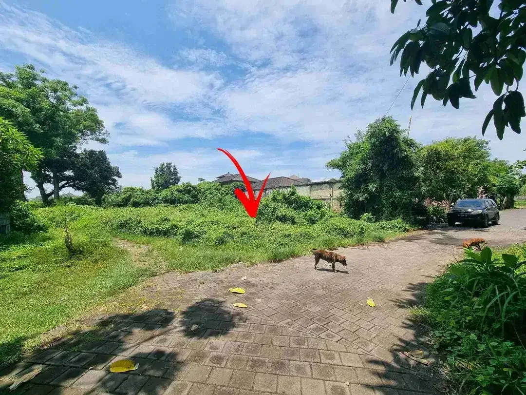 Tanah Murah Link Villa Zona Pariwisata Dekat Pantai Ketewel Gianyar Bali - Image 10 of 10