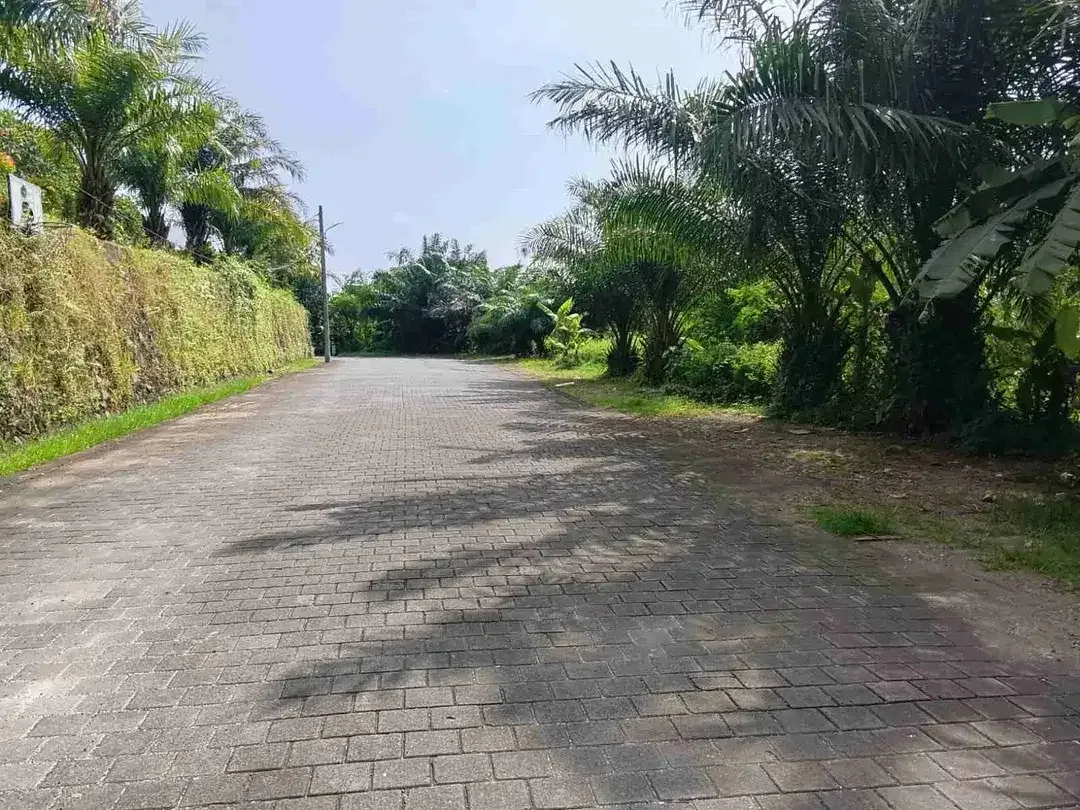 DIJUAL TANAH MUNGGU GREENLOT - Image 4 of 4