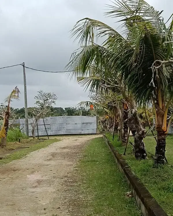 [AMS-066.DRM] Tanah Kavling Perumahan Super Premium di Kutuh Kerambitan Tabanan - Image 10 of 10