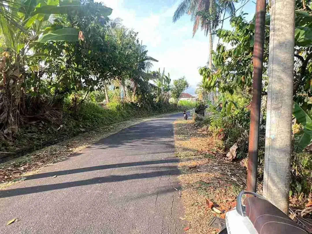jual tanah kebun view bagus fi tabanan bali. - Image 4 of 10