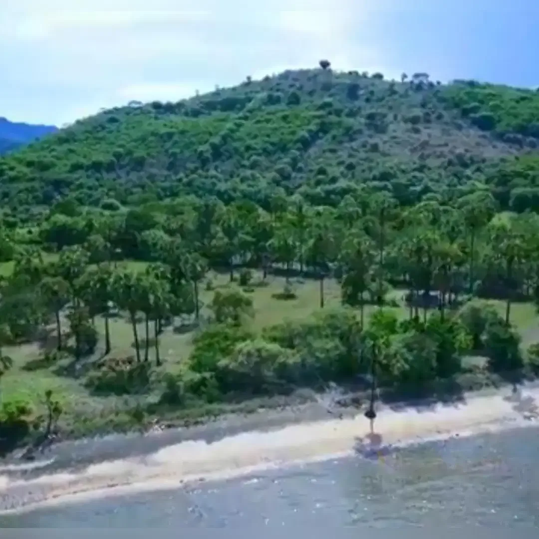 BEACHFRONT LAND FOR SALE IN SINGARAJA - Image 4 of 10