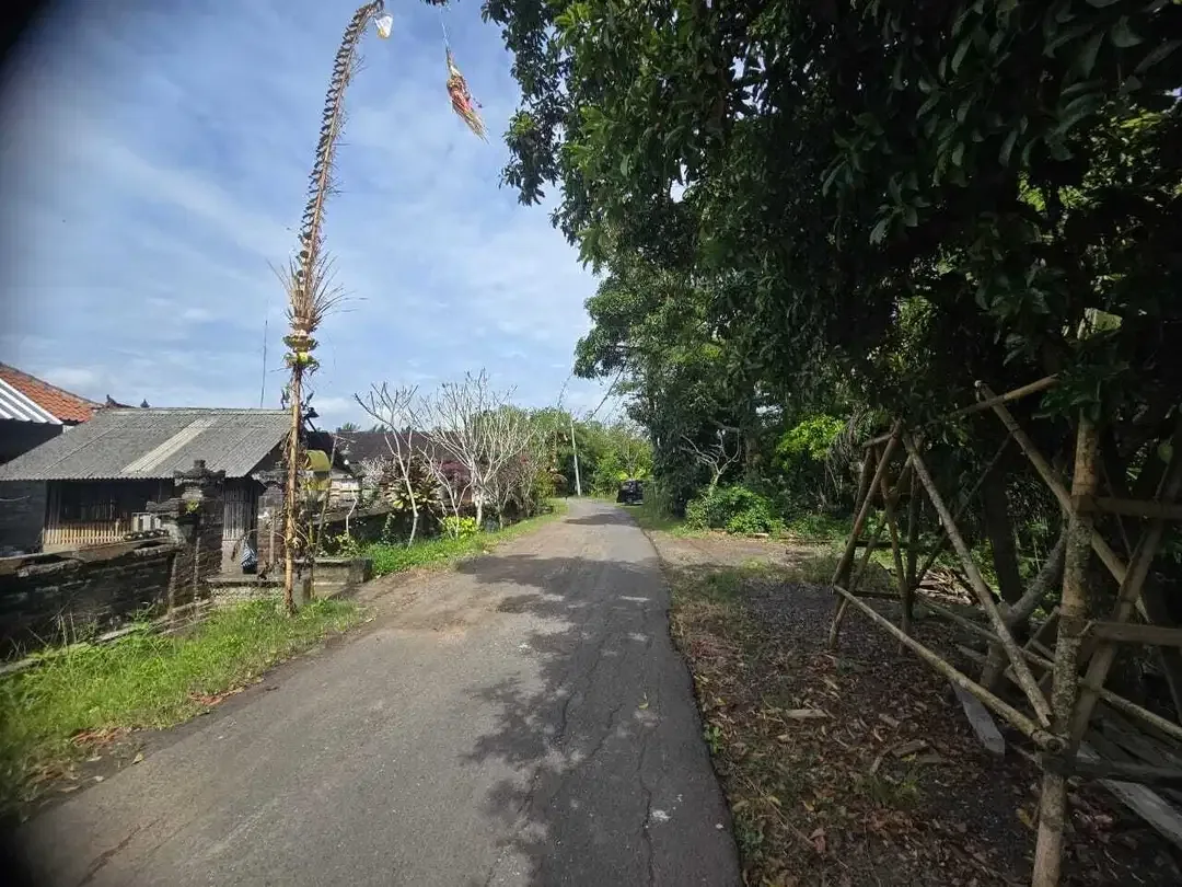Dijual tanah los sungai besar berbatu - Image 9 of 9