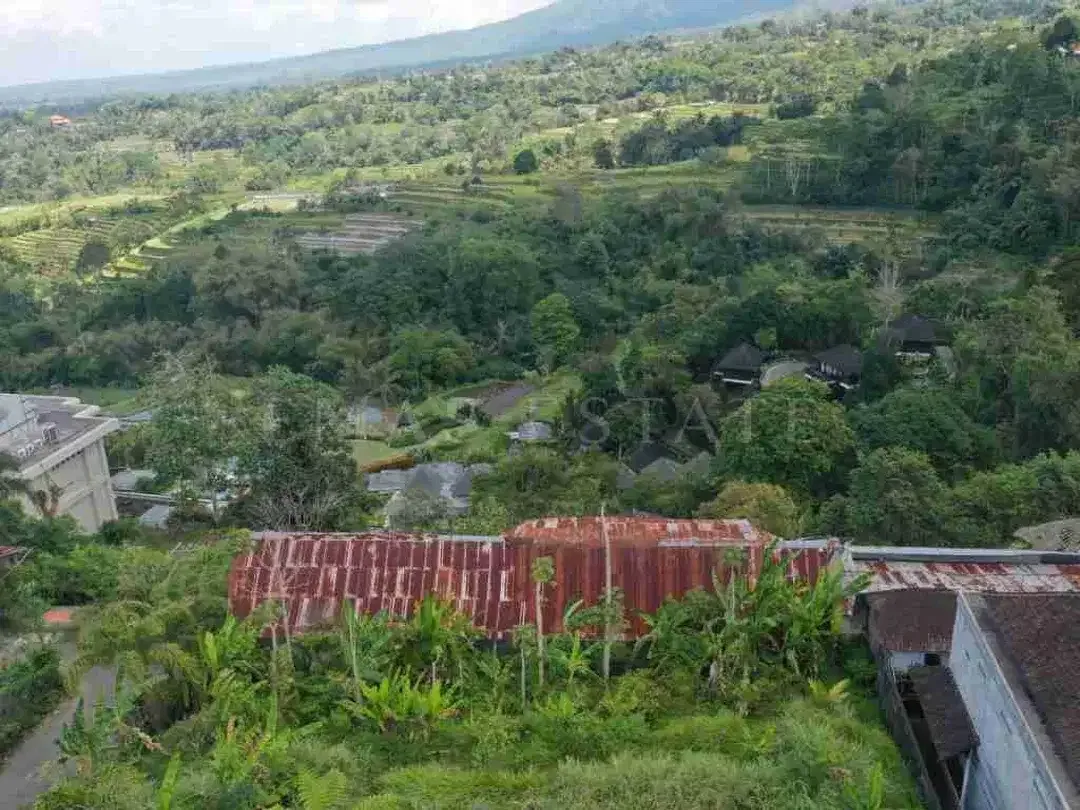 Tanah 6 Are Dijual di Baturiti, Dekat HOMM Saranam & Bali Handara Golf - Image 9 of 9