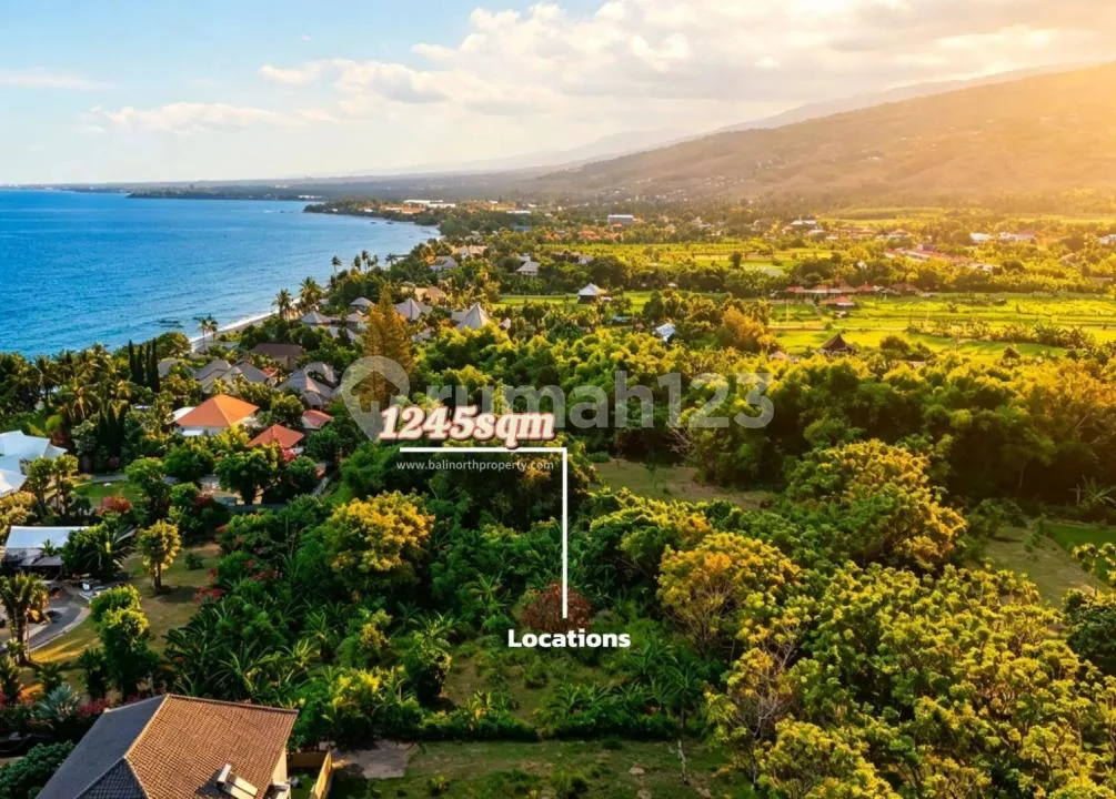 Premium Freehold Land For Sale In Lovina North Bali - Image 2 of 4