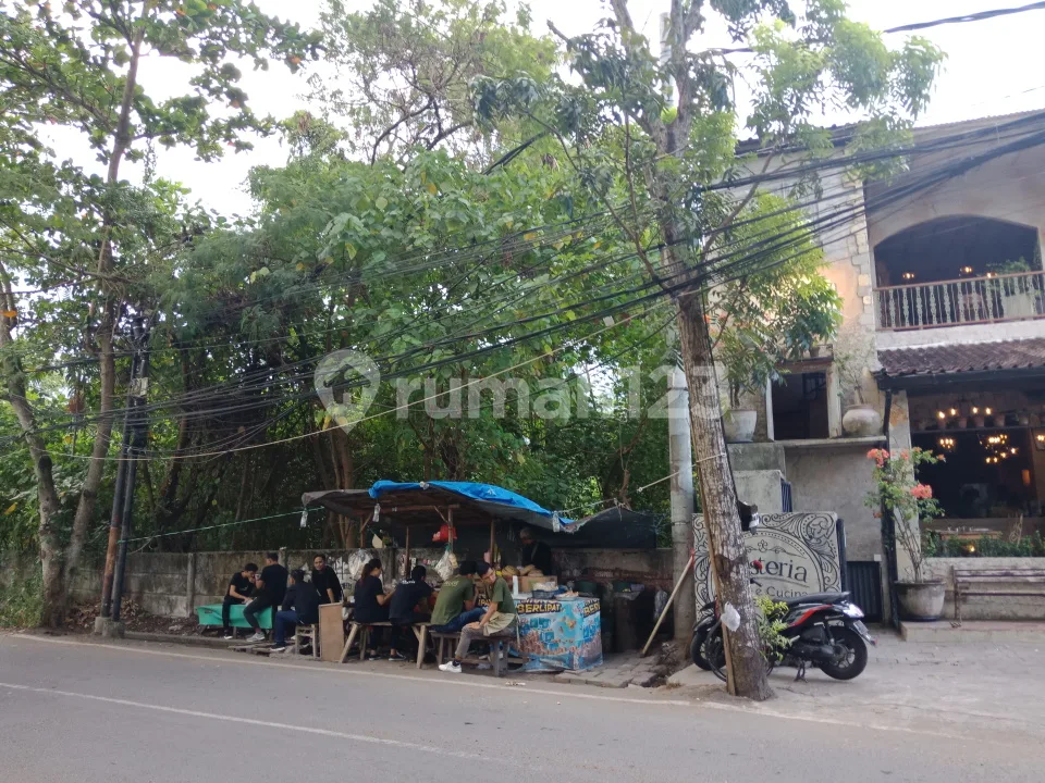Jual Tanah Premium 500 Meter ke Pantai Brawa di Jalan Utama Canggu - Image 3 of 4