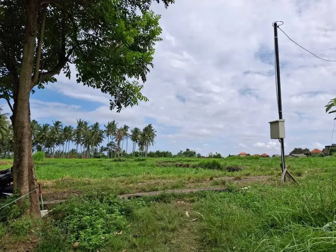 Dijual Tanah 23 are di daerah ubud - Image 3 of 9