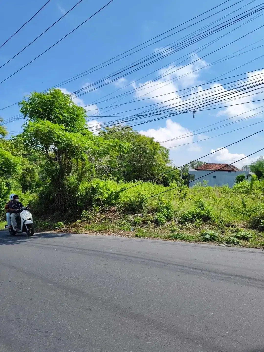 tanah di jalan utama ungasan jimbaran,dkt pantai,bentuk kotak - Image 5 of 6
