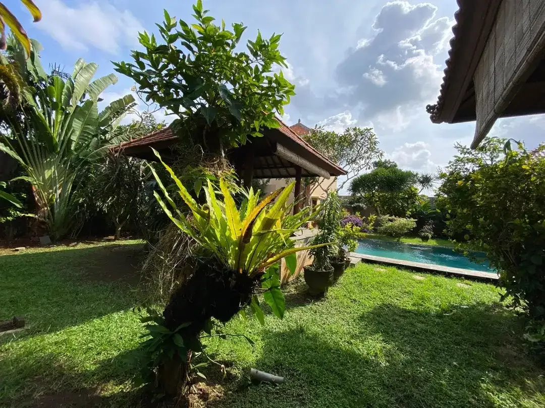 Villa Tersembunyi Dengan Gaya Klasik Dengan Suasana Hijau Dan Tenang Jimbaran - Image 9 of 10